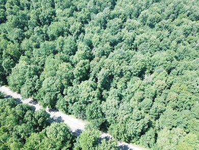 DJI_0246