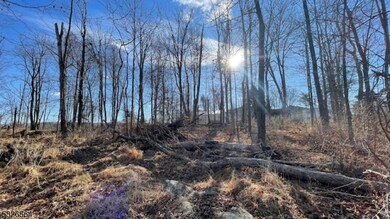 3194 Route 94, Hardyston Twp., NJ 07416 - photo 5