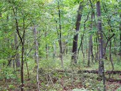 Lot 38 Whippoorwill Ln, 4, Newport, VA 22835 - photo 4