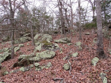 0 S Buffalo Rd unit 2300542, Stuart, OK 74570 - photo 7