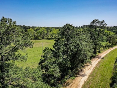 0 Black Jack Cemetery Rd, Huntsville, TX 77340 - photo 3