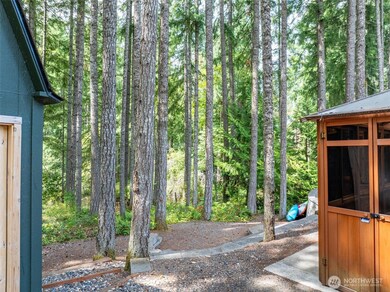 22204 Bluewater Ct SE, Yelm, WA 98597 - photo 4