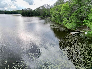 Water view featuring a forest and a boat dock