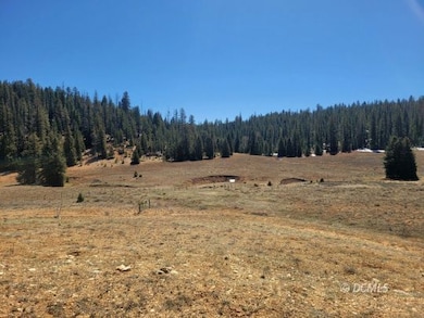 520 N Grassy Trail, Duck Creek Village, UT 84762 - photo 7