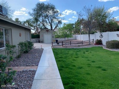 Rear Walkway to shed