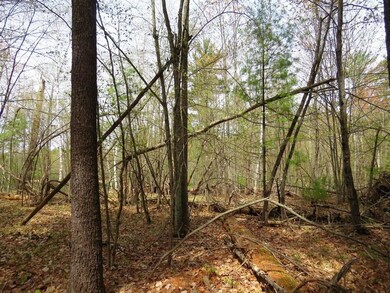 0 Old 35 unit 1518976, Siren, WI 54872 - photo 6