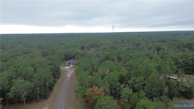 9700 N Langdon Rd, Citrus Springs, FL 34434 - photo 4