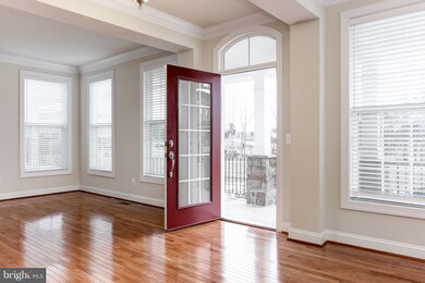 42713 Ashburn Tillett Dr, Broadlands, VA 20148 - photo 3