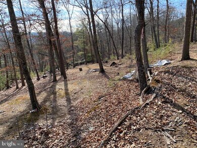 26851 Wv-55, Wardensville, WV 26851 - photo 7