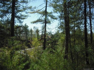 5 Hunting Ridge unit LOT 11, Leicester, NC 28748 - photo 4