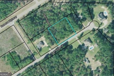 0 Oak Ridge Dr, Butler, GA 31006 - photo 4