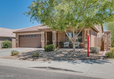 front yard 1