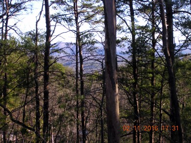 View from balcony