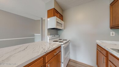 6104 Julie Kays Way Louisville KY 40258-