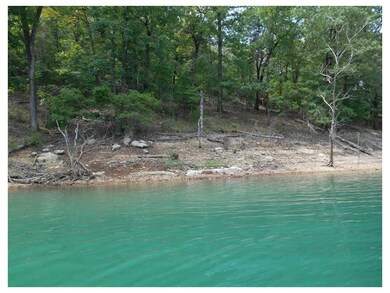 4 Oakridge Dr unit 667052, Eureka Springs, AR 72632 - photo 2