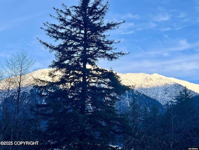 2196 Lawson Creek Rd unit D, Douglas, AK 99824 - photo 5