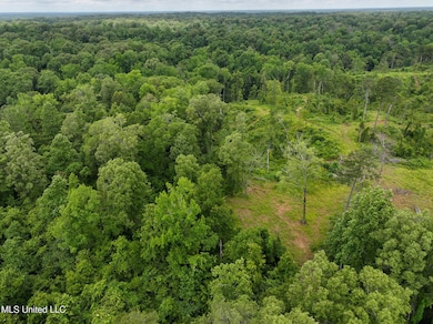 DJI_20250529105602_0003_D