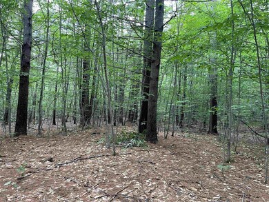 0 Conway Rd unit 4884471, Madison, NH 03849 - photo 5