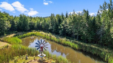 Trout Pond