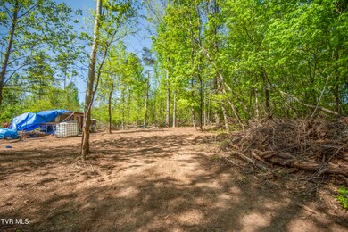 Tbd Dunville Gap Rd, Rutledge, TN 37861 - photo 3
