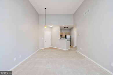 13070 Autumn Woods Way unit 304, Fairfax, VA 22033 - photo 7