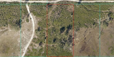 Tract 343 SW 156th Place, Dunnellon, FL 34432 - photo 2