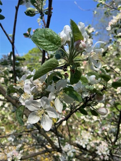 15 High St, Gilsum, NH 03448 - photo 3