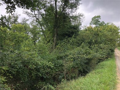 0 Chestnut Ridge Rd unit 4038675, Danville, OH 43014 - photo 5