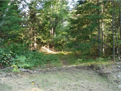 0 Corner of Long Pond & Blk Fly Blvd unit 4392747, Westmore, VT 05871 - photo 6
