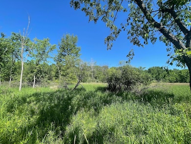 9890 Springport Rd, Parma, MI 49269 - photo 5