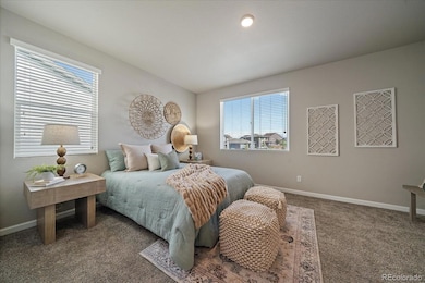 2223 Serenidad St, Brighton, CO 80601 - photo 5