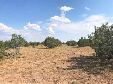 45210 N Honeysuckle Rd, Ash Fork, AZ 86320 - photo 7