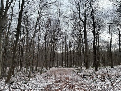 0 Wheelock Way unit PWBPW240052, Honesdale, PA 18431 - photo 2