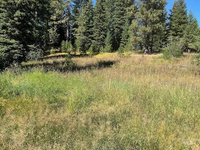 20 Andy, Donnelly, ID 83638 - photo 4