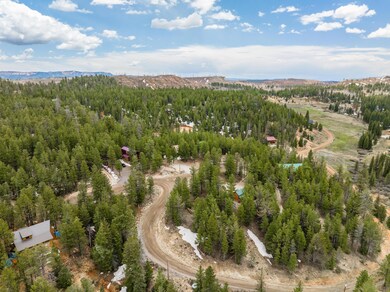 Drone view