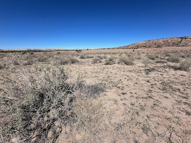 Tbd Longo Ln, Saint Johns, AZ 85936 - photo 6