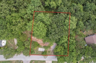 732 Briar Cliff Rd Aerial Outline