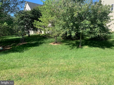 25009 Virginia Pine Ct, Chantilly, VA 20152 - photo 6