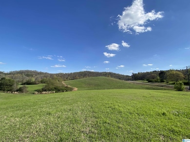 6555 Highway 174, Springville, AL 35146 - photo 2