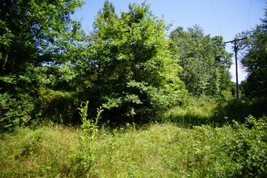 DSC06371