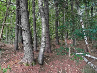 0 Hoey Rd, Cavendish, VT 05142 - photo 5