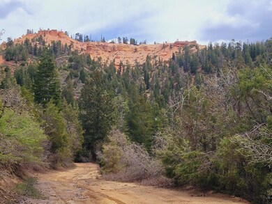View Behind the Property