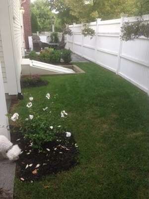 18 Maple St, Medfield, MA 02052 - photo 6