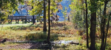 View from back of house