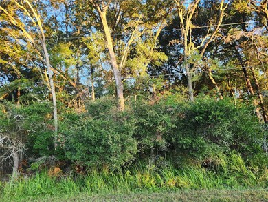 0 Cedar Trace, Ocala, FL 34472 - photo 7