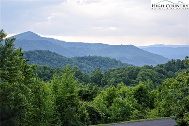 518 Indian Paintbrush Dr unit RO-1 Echota on the R, Banner Elk, NC 28604 - photo 3