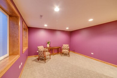 745 S Julian St, Naperville, IL 60540 - photo 6