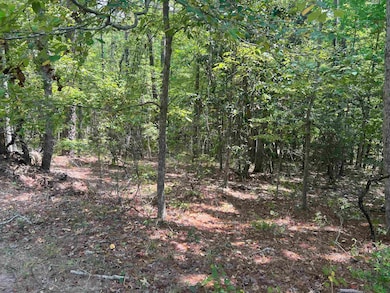 Additional View