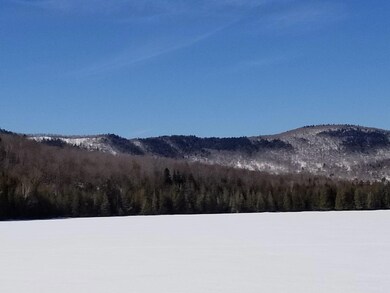 3 Lot view & north view from Round Pond