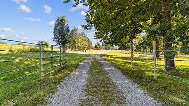 Beautiful long driveway
